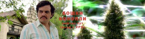 гашиш Болотное