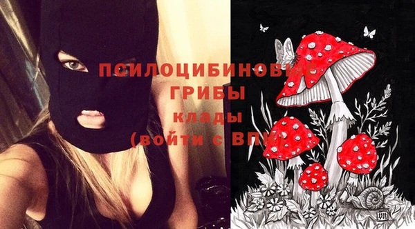 шишки Волоколамск