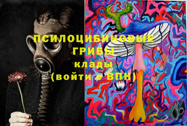 spice Володарск