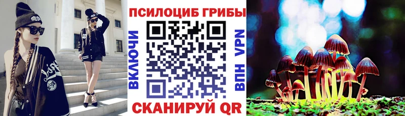 Галлюциногенные грибы ЛСД  купить закладку  Вятские Поляны 