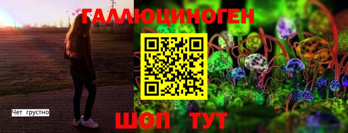Вятские Поляны  Галлюциногенные грибы прущие грибы  Вход с VPN 